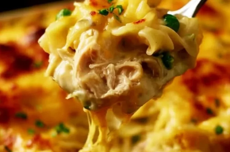 Pioneer Woman Chicken Noodle Casserole topped with crispy breadcrumbs