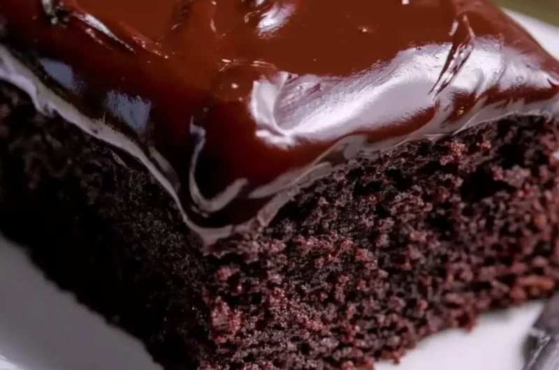 Wacky Chocolate Cake topped with rich chocolate frosting and sprinkles